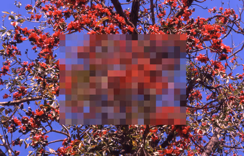 Item #29795255332801019557670575454417668975599355063709469238415452596732029829121 Media