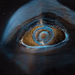 The eye