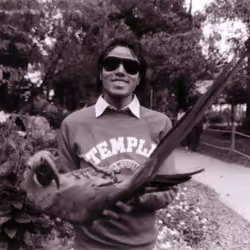 Michael Jackson Black & White Temple University Parrot #0