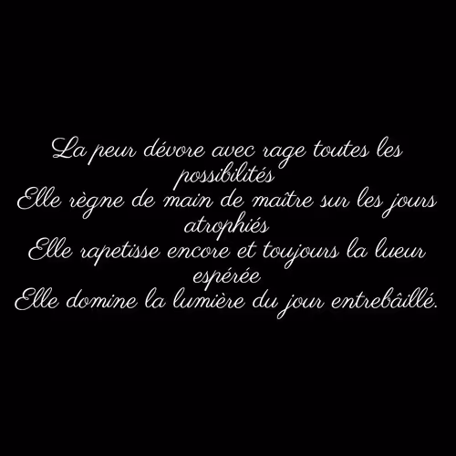 Item #74371741931470645784912528948589980971587939009711764784213724832273837064193 Media