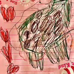 Sofia Turtle
