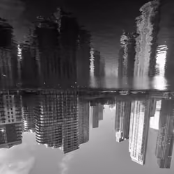 Parallel Reality