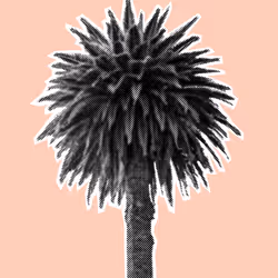 25379124807980713745219244606437574046087384809022650852355167115918958395393