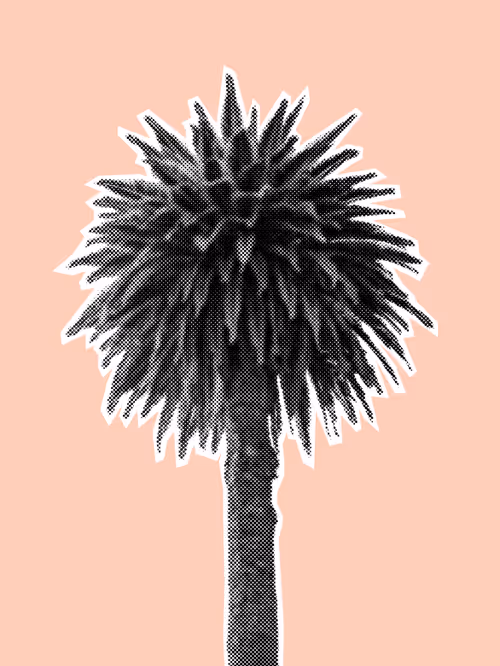 Item #25379124807980713745219244606437574046087384809022650852355167115918958395393 Media