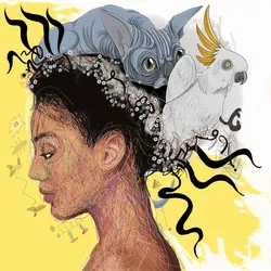 14300628802992922173933287379241111452175143188596968683400453462233031114753