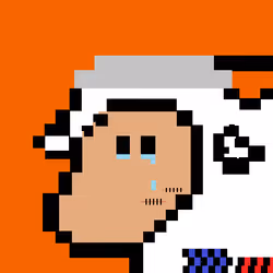 85122147178286775882516028388323701515228575826095020301917028713331572080641