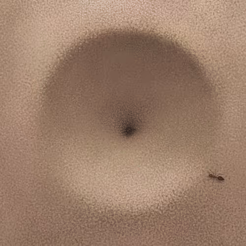 Item #3268803336195748471810721187767157449447762618845585636632076490981597249537 Media