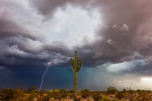 Item #95204431680649181601528738578851453896688564435428028381601595479947508449281 Media