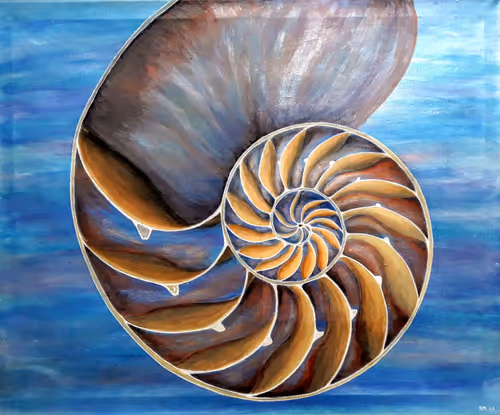 Item #79115913515257539025783308964349680366872385577742308726753253965715023593473 Media