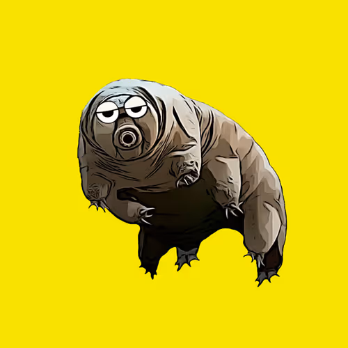 86202550248586517642199010531110464804800601482172909858196685611542123642881