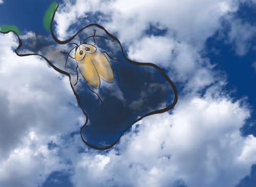 Item #86435781351557595240852812126078266197944335596761965284369080131068247408641 Media