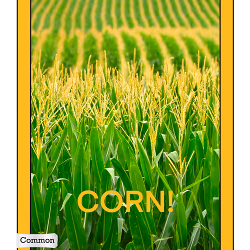 64983343354440460478949369577107733247942492091796441794851447293964250513418