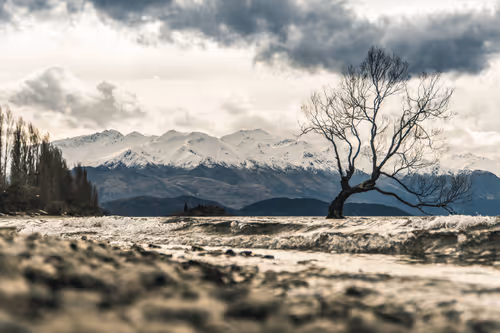 Item #58947618830561656540346244481434689864008869237453581335095038764392174845953 Media