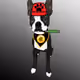 22758449000331379792285087114659145546951986570390541991627831211579406286849