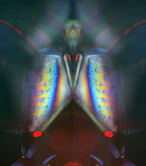 Item #86322865835249178422551085128691778807953829915868126837986678329335475077121 Media