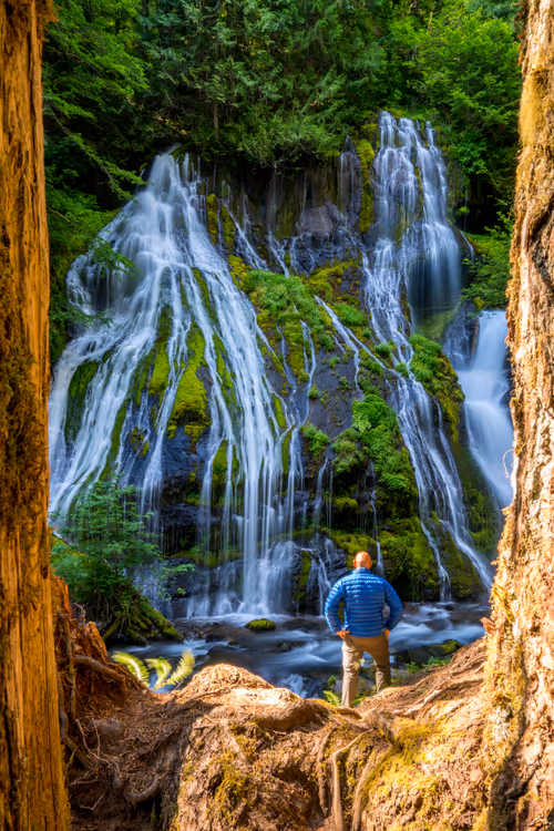 Item #85108885410868237358729630107342733558834048724782448774990413345574398984193 Media