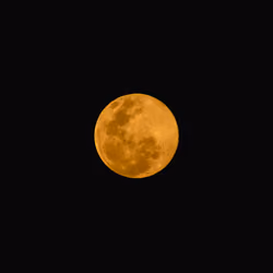 Selene 10