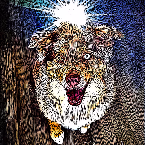 Untitled Collection #80181687