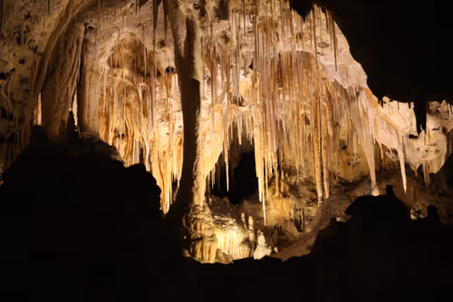 Item #70867767148206433816285647026950890777096964968120148821785755173933119700993 Media