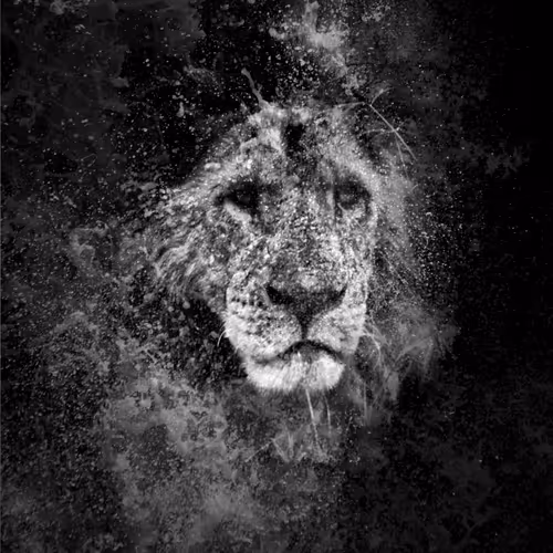 97390858549290517915673057044451120522321858296040786888435299457299399049217