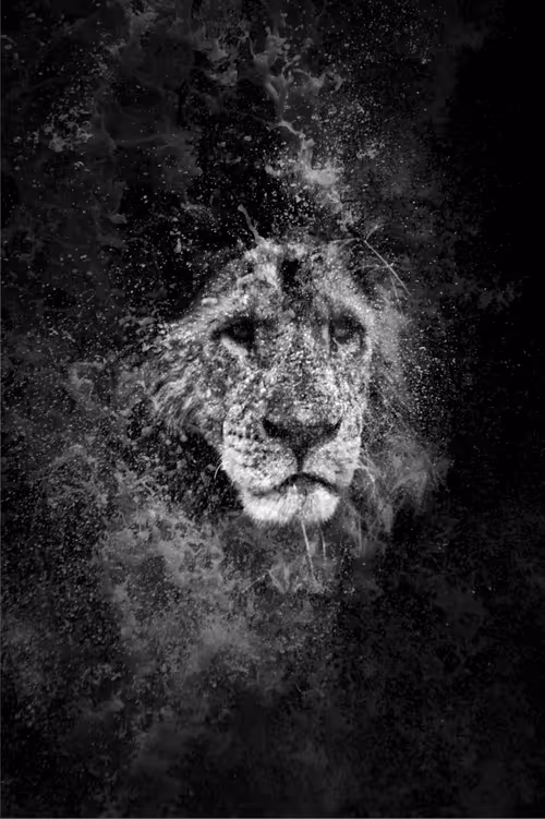 Item #97390858549290517915673057044451120522321858296040786888435299457299399049217 Media