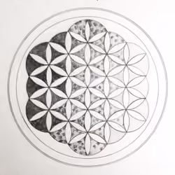Mandala Bundles