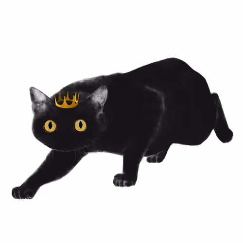 24618594739772325081071012251968077253983773594612099830659053238172289859587