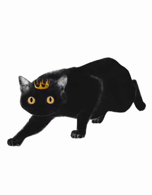 Item #24618594739772325081071012251968077253983773594612099830659053238172289859587 Media