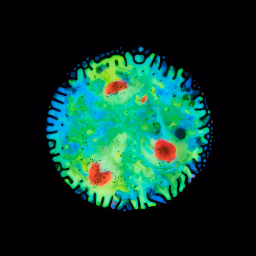 Haematopoiesis