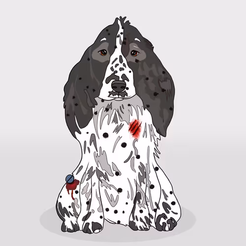 Item #18929025953091685879740265421444029621973902778044225700407145468202657513473 Media