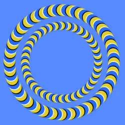 Rotating Rings
