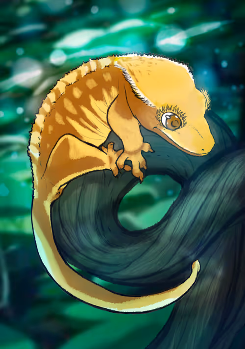 Item #23546686719633506406095790157609111049750244779414073605876924847218810159105 Media