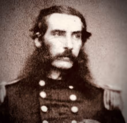 HoracePTuttle Collection