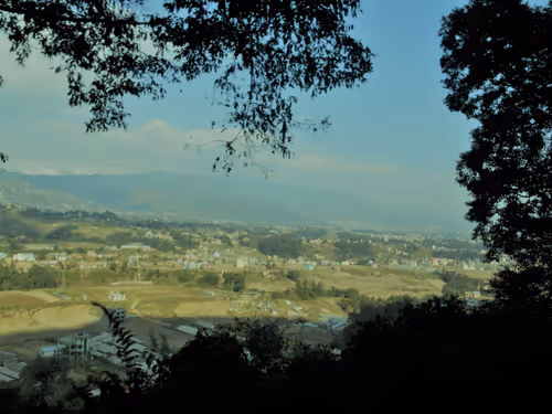 Item #69924028116922076493344461750653993086744312915422441384163024964527243395073 Media