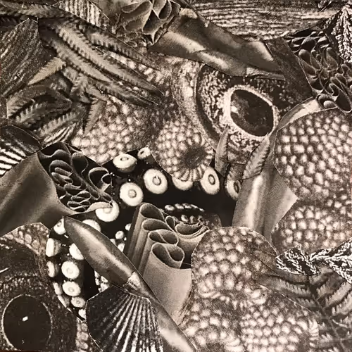 Item #87414030977242404074607737176554997230308659051601397280758356091661679853569 Media