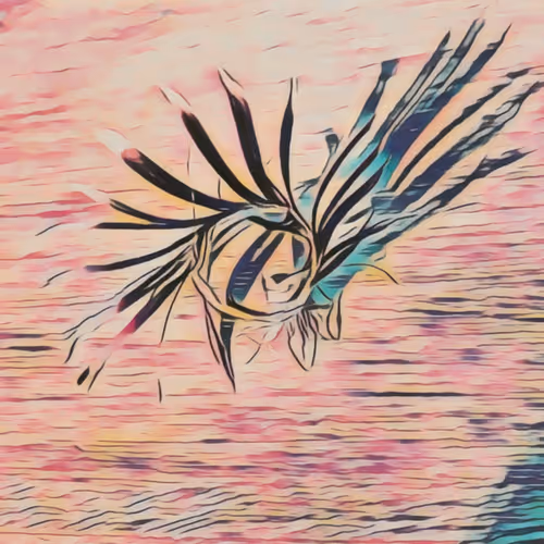 Item #33489201772139454524030938762040669258263543807464770779456338521663857491978 Media