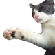 85960029897449293892798536593612207838886945858006362351764480136612809801729