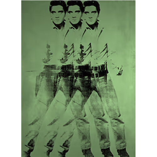 95763556335211716525140920132602656903802862986019260817519970128696874893313