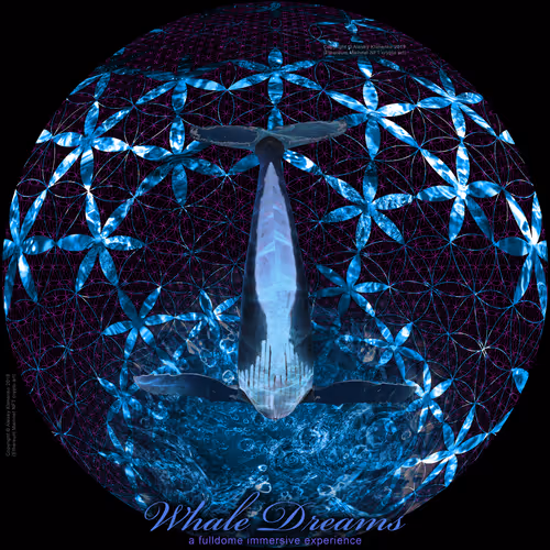 Item #62031355304717605018779556658742752580480266071018607637947581444821432139777 Media