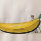 102352474536511305825559268799666286369921415510746387403150296522439771815937