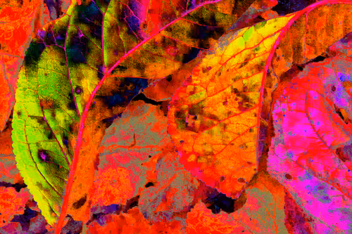 Item #11128123256113201505825332092376579448973501376012613523417643033781019344897 Media