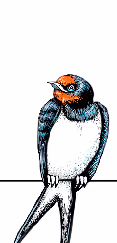 72695523464753550601147126795501667149014001806411121621206157115165868294145