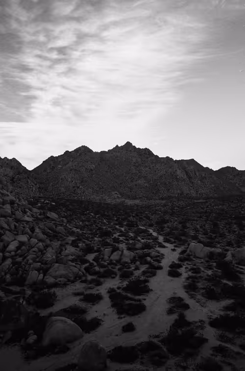 Item #43855545179559374949578343538533146521052449225092810466716167744146261409793 Media