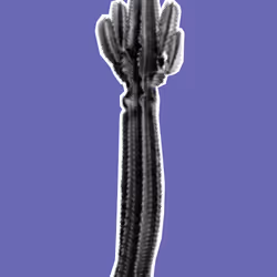 25379124807980713745219244606437574046087384809022650852355167134610656067585