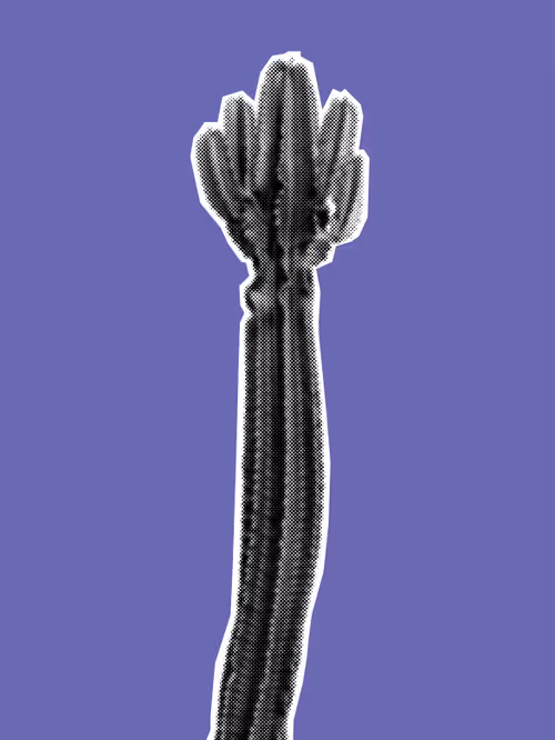 Item #25379124807980713745219244606437574046087384809022650852355167134610656067585 Media