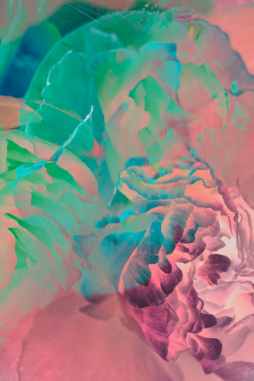 Item #98647933825971538167014356708832577938829494808882293034315128160599538663425 Media