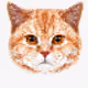86515702388564116946842246269008357505544892692160175811460688268199483932673