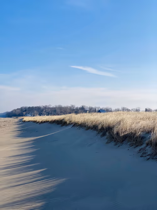 Item #7515626885515203904363037885652227681856148671829111779818241161163207344129 Media