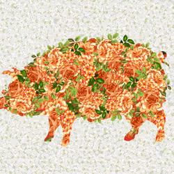 2807211227970753094502405668608491016000177280909678085042861371803522039809