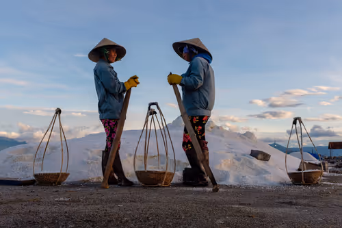 Item #44380994338133063636427405274069008736849147253072084515634940321702606798849 Media